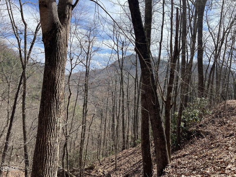 26 Aintree Dr Lot 26, Sevierville, TN 37876