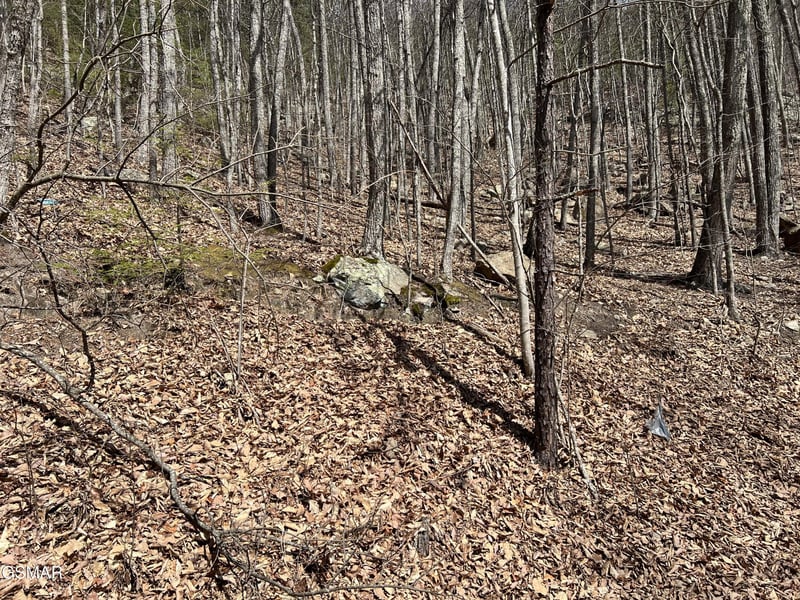 18 Clingmans Vw Lot 18, Sevierville, TN 37876