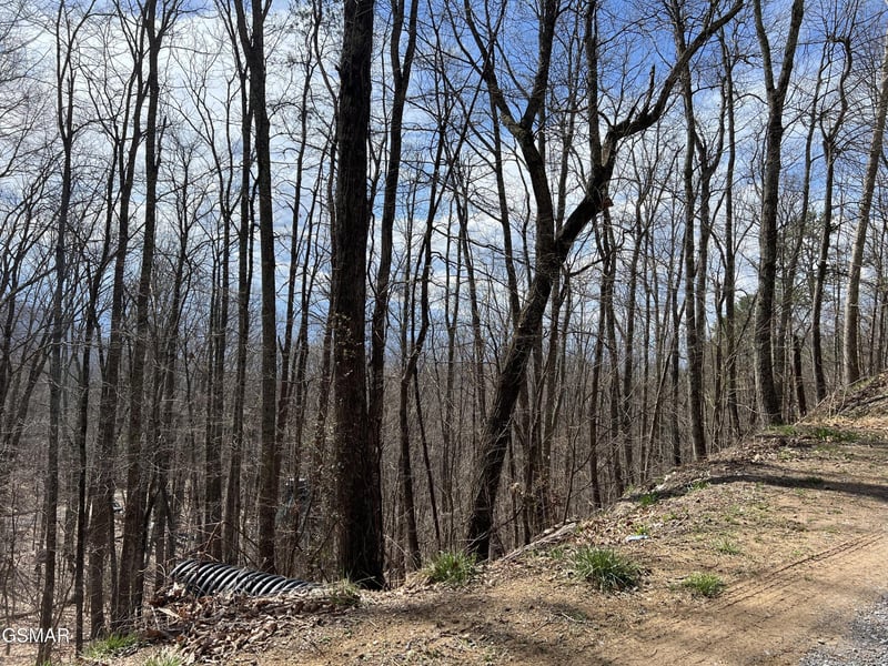 18 Clingmans Vw Lot 18, Sevierville, TN 37876