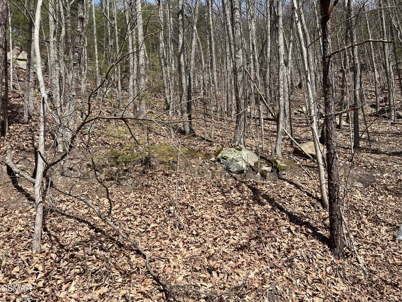 18 Clingmans Vw Lot 18, Sevierville, TN 37876