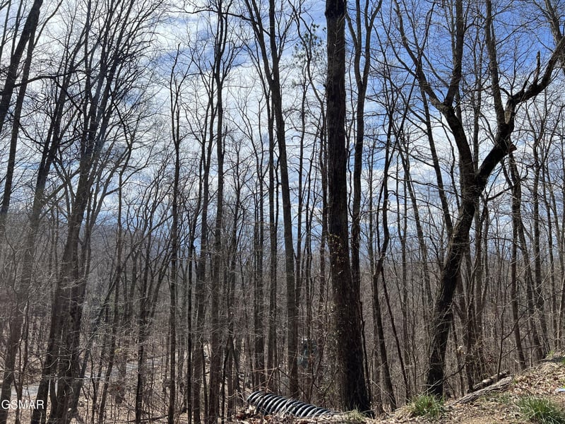 18 Clingmans Vw Lot 18, Sevierville, TN 37876