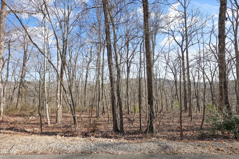 3912 Patriot Ln Lot 50, Sevierville, TN 37862