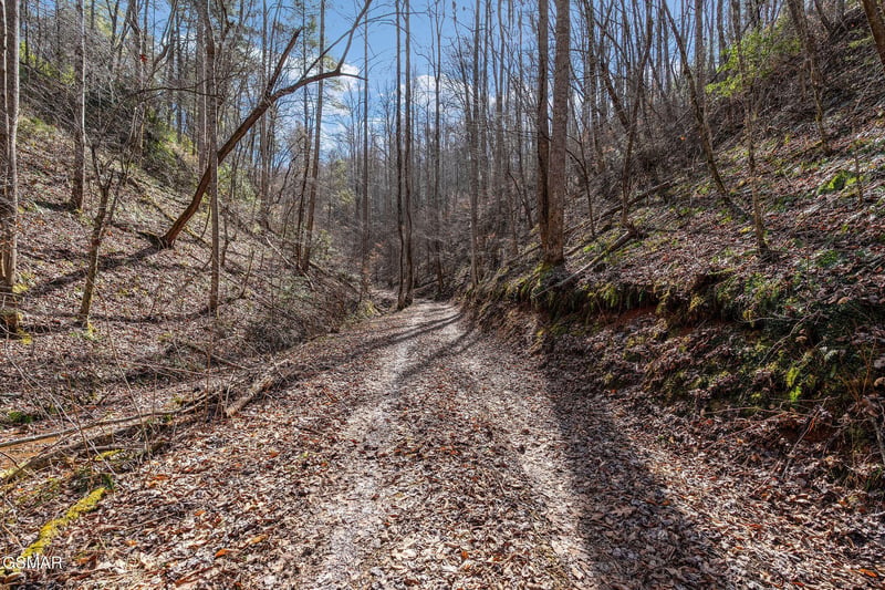 12 Paint Horse Way Lot 12, Sevierville, TN 37876