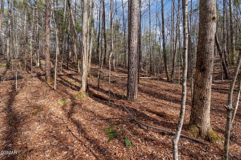 14 Paint Horse Way Lot 14, Sevierville, TN 37876