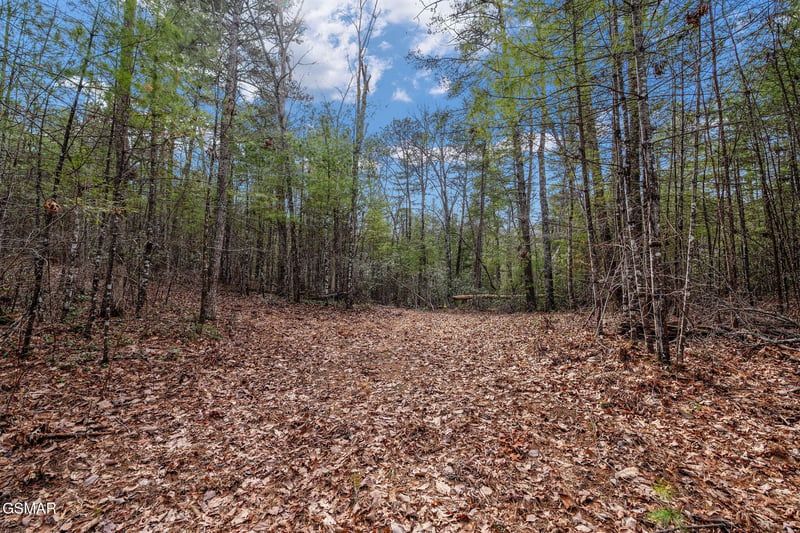 14 Paint Horse Way Lot 14, Sevierville, TN 37876