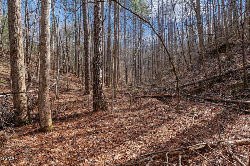 14 Paint Horse Way Lot 14, Sevierville, TN 37876
