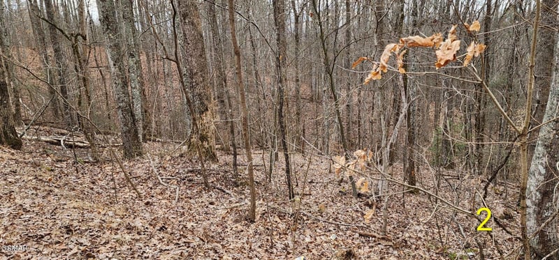 2225 King Hollow Rd Lot 1R-2, Sevierville, TN 37876