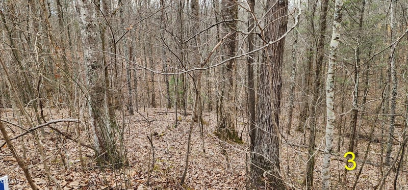 2225 King Hollow Rd Lot 1R-2, Sevierville, TN 37876