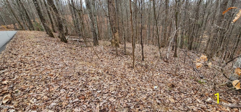 2225 King Hollow Rd Lot 1R-2, Sevierville, TN 37876