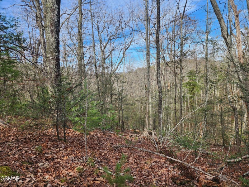 0 Dockery Branch Rd Lot 01-087--08, Sevierville, TN 37876