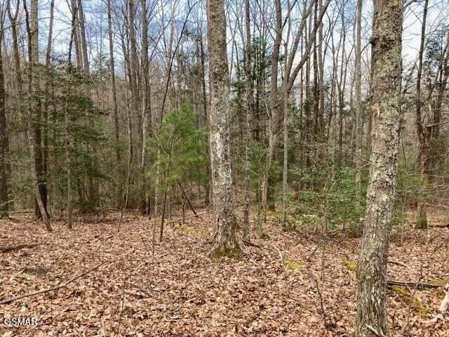 0 Dockery Branch Rd Lot 01-087--08, Sevierville, TN 37876