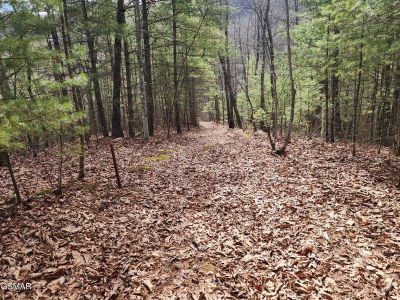 0 Dockery Branch Rd Lot 01-087--08, Sevierville, TN 37876