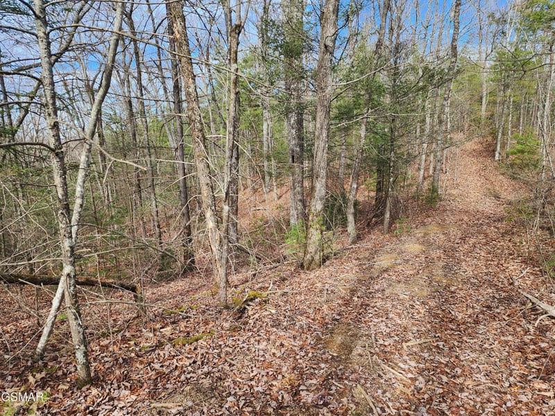 0 Dockery Branch Rd Lot 01-087--08, Sevierville, TN 37876