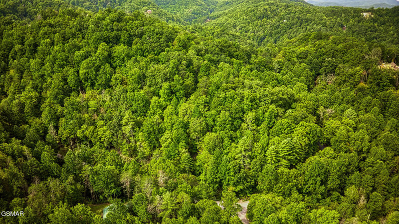 9 Stepping Stone Dr Lot 9, Sevierville, TN 37862