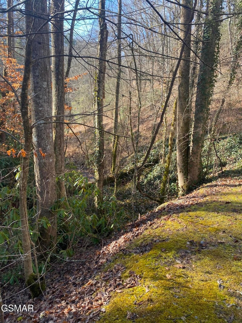 0 Stepping Stone Dr Lot 0001&0008, Sevierville, TN 37862