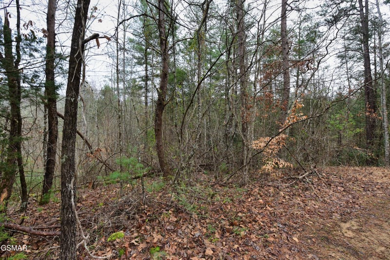 23 Alpine Ridge Way Lot 23, Sevierville, TN 37876