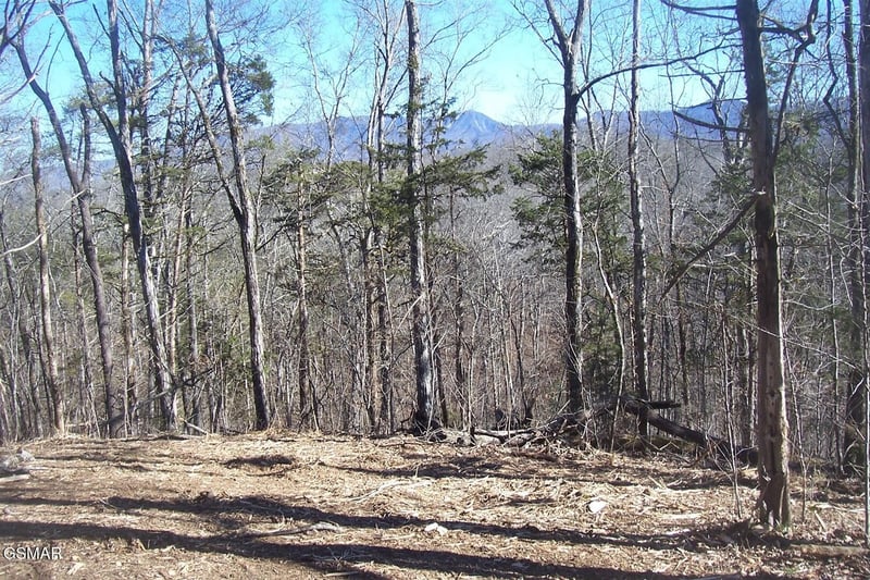 798 Fairgarden Cir, Sevierville, TN 37876