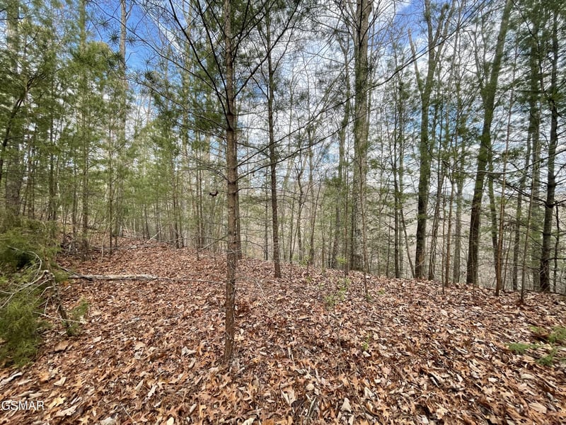 79 Whetstone Rd Lot 79, Sevierville, TN 37862