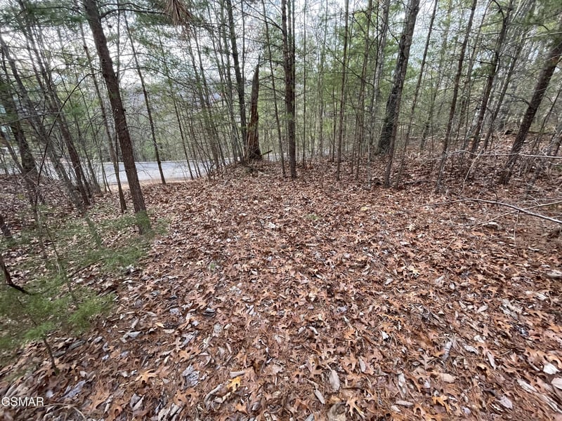 79 Whetstone Rd Lot 79, Sevierville, TN 37862