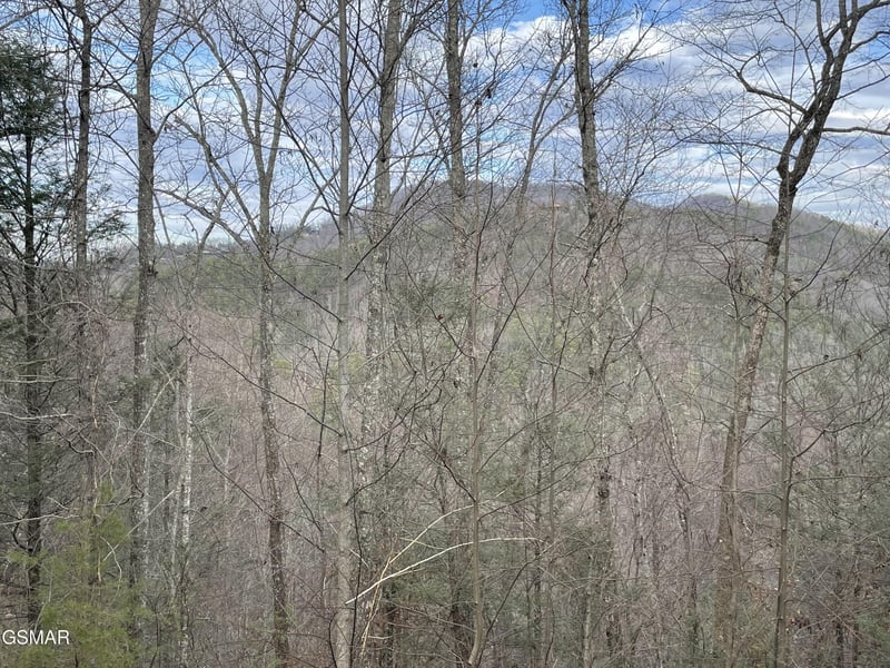 79 Whetstone Rd Lot 79, Sevierville, TN 37862