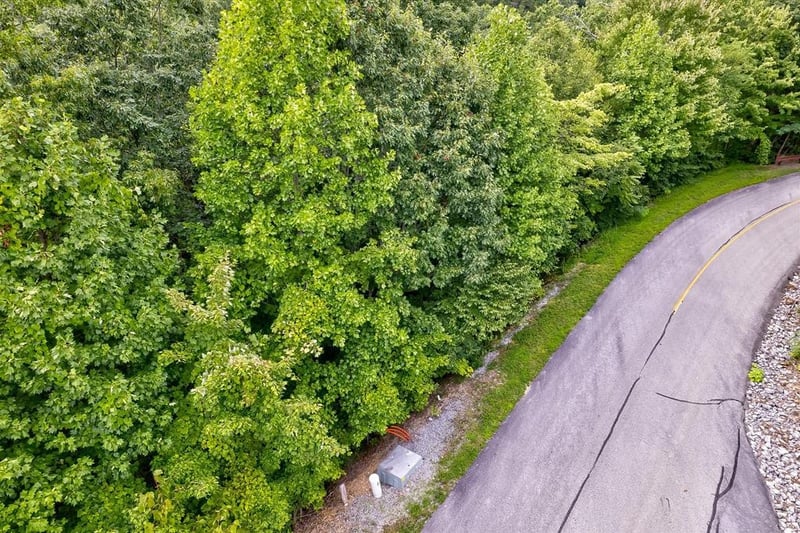64 Redtail Rd Lot 64E, Sevierville, TN 37862