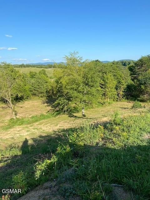 2644 East Flat Creek Blvd Lot 9, Sevierville, TN 37876