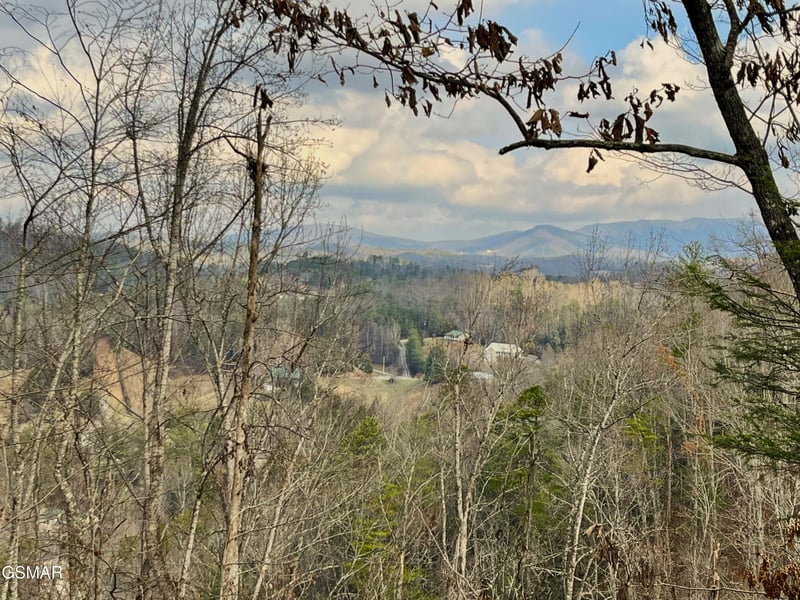 106107 Dollys Dr Lot 106&107, Sevierville, TN 37876