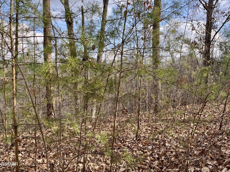106107 Dollys Dr Lot 106&107, Sevierville, TN 37876