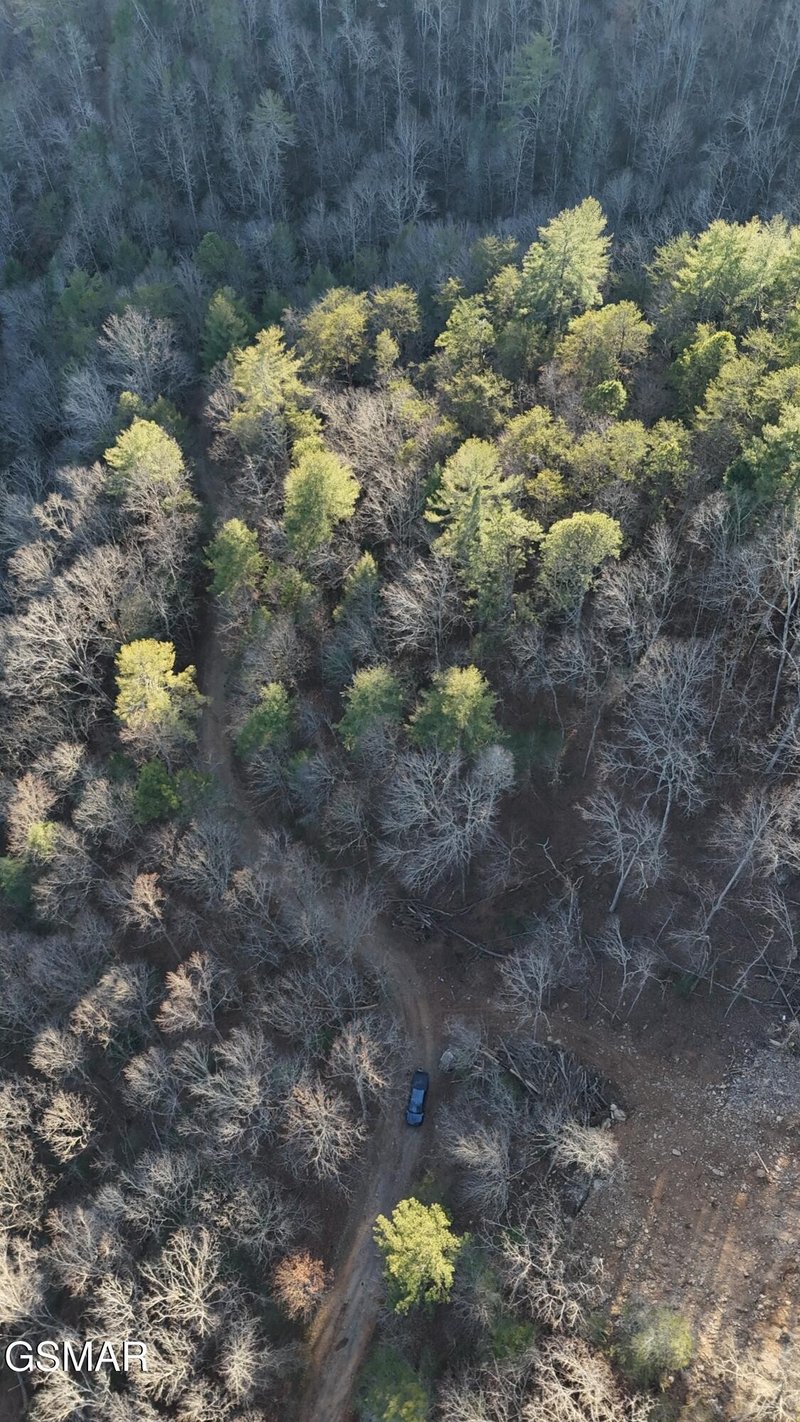 20 Meadow View Rd Lot 20, Sevierville, TN 37862