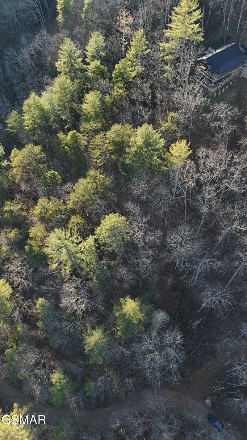 20 Meadow View Rd Lot 20, Sevierville, TN 37862