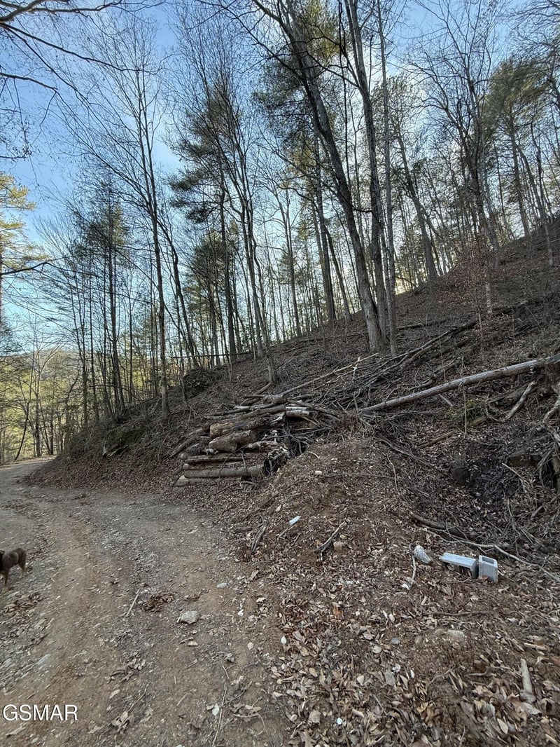 20 Meadow View Rd Lot 20, Sevierville, TN 37862