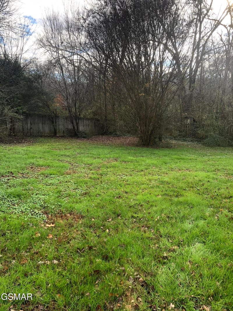 1800 Frankie Ln, Sevierville, TN 37876