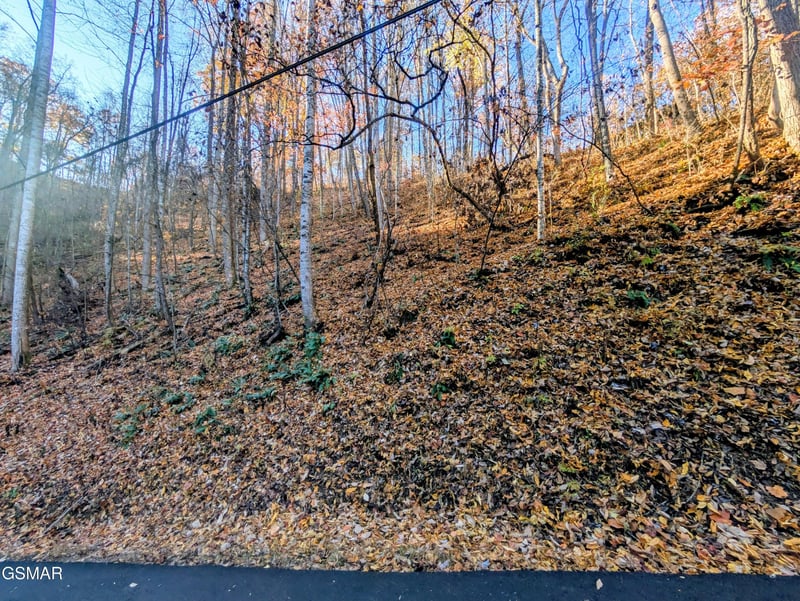 339 Ridgefield Dr Lot 0339, Sevierville, TN 37876