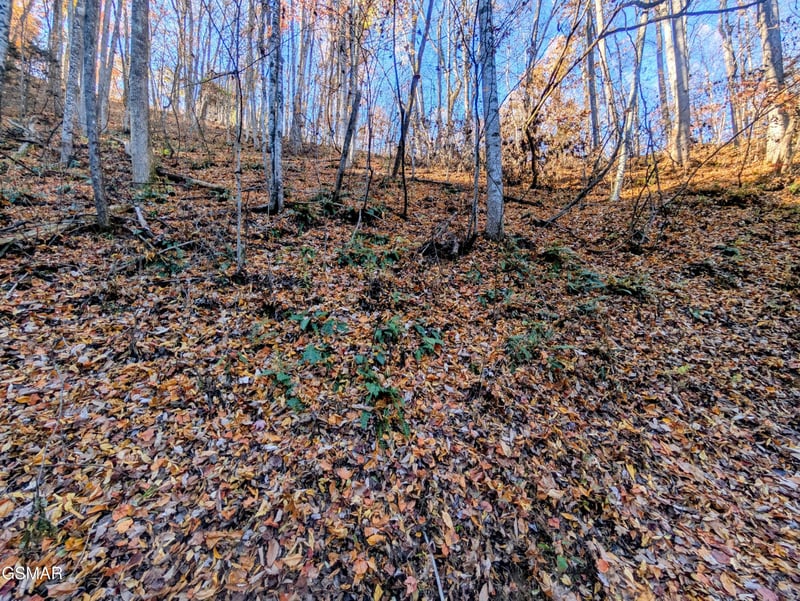 339 Ridgefield Dr Lot 0339, Sevierville, TN 37876
