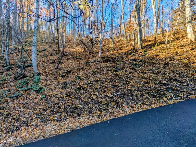 339 Ridgefield Dr Lot 0339, Sevierville, TN 37876