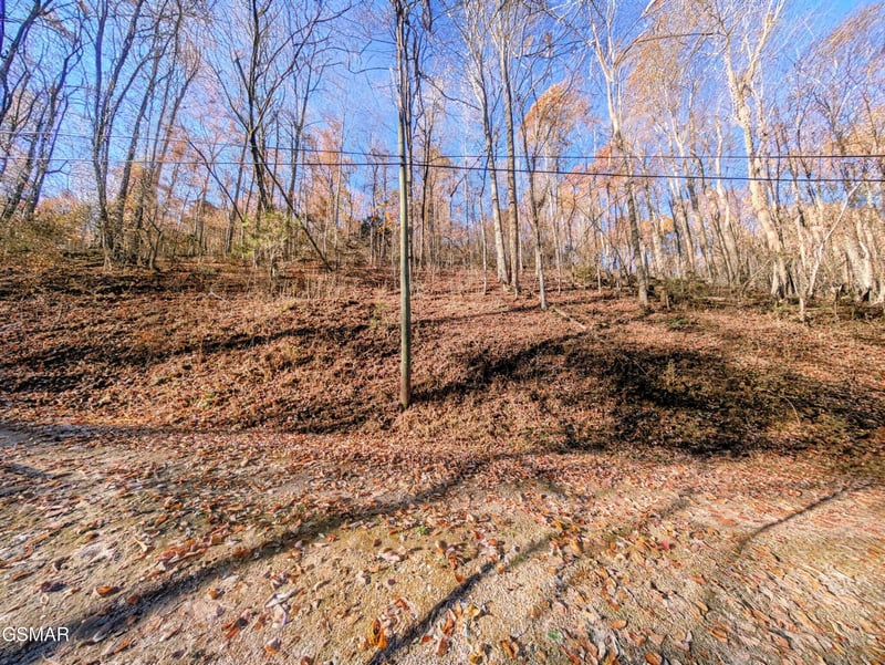 1272 Raymond Hollow Rd Lot 1272, Sevierville, TN 37876