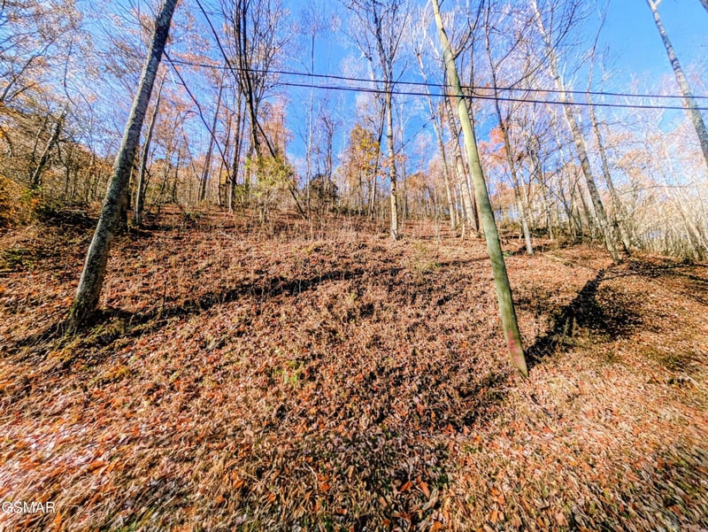 1272 Raymond Hollow Rd Lot 1272, Sevierville, TN 37876