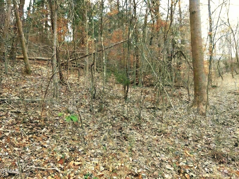 17 Scott St Lot 17, Sevierville, TN 37876
