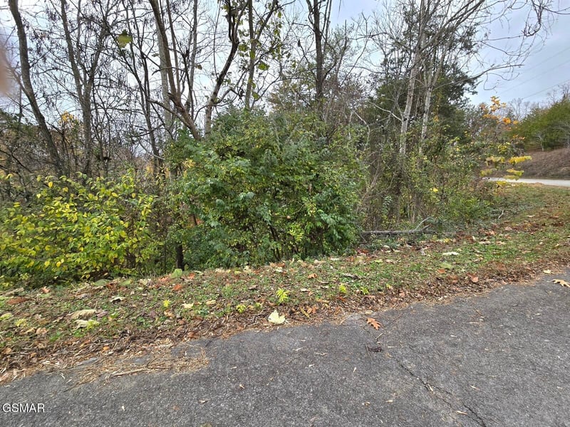 17 Scott St Lot 17, Sevierville, TN 37876