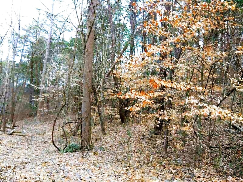 17 Scott St Lot 17, Sevierville, TN 37876