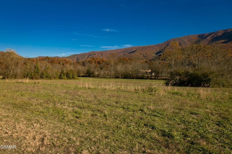 0 Robeson Rd, Sevierville, TN 37862