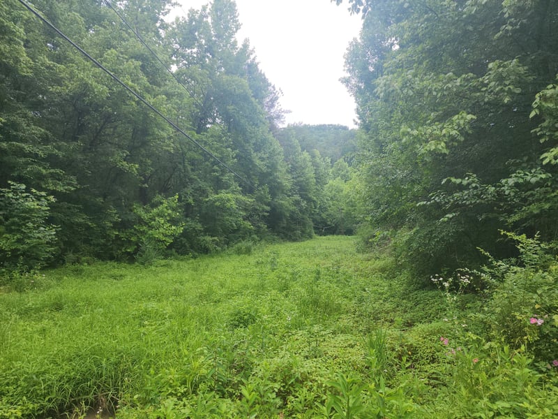 0 Rocky Flats Rd Lot 49, Sevierville, TN 37876