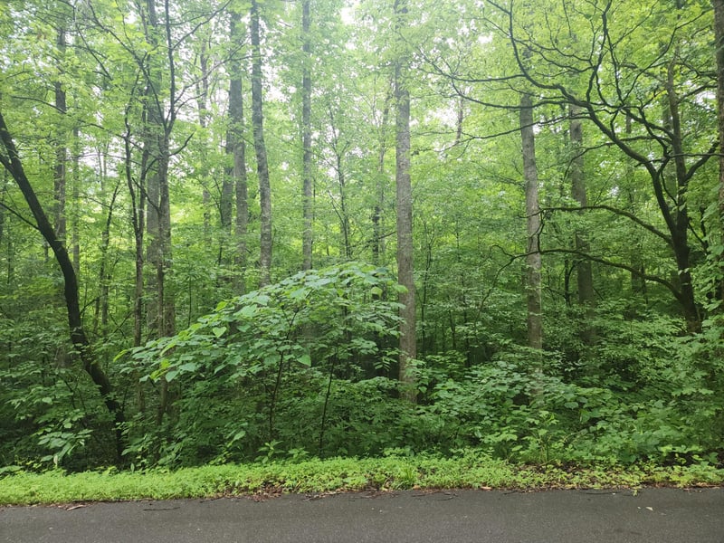 0 Rocky Flats Rd Lot 49, Sevierville, TN 37876