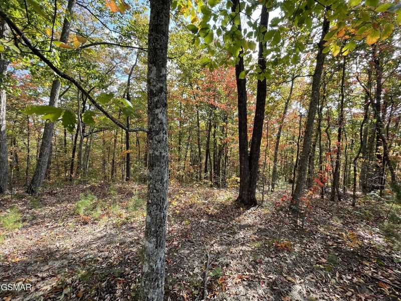 234 Sulpher Springs Way Lot 2&3&4, Sevierville, TN 37862