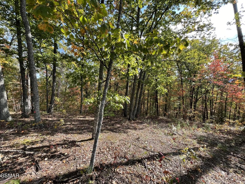 234 Sulpher Springs Way Lot 2&3&4, Sevierville, TN 37862