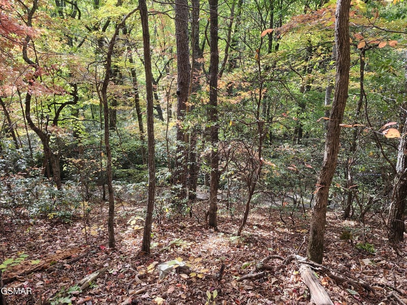 11 Bluff Mtn Rd Lot 11, Sevierville, TN 37876