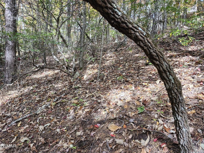 11 Bluff Mtn Rd Lot 11, Sevierville, TN 37876