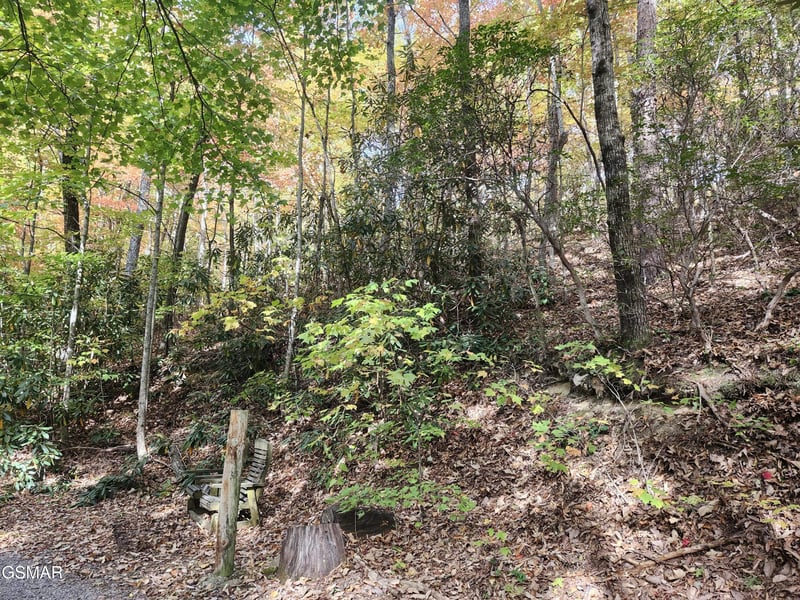 11 Bluff Mtn Rd Lot 11, Sevierville, TN 37876