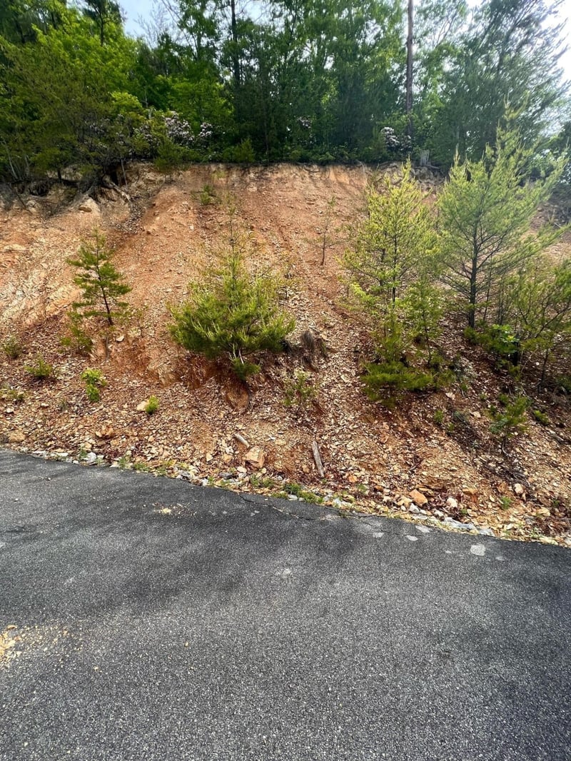 180 Jones Creek Ln Lot 180E, Sevierville, TN 37876