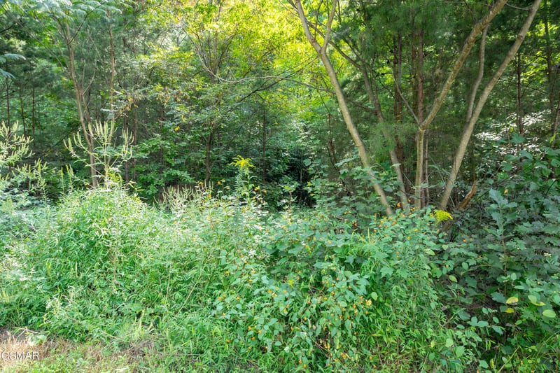 13 Lexy Ln Lot 13, Sevierville, TN 37862